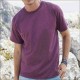 FRUIT - MAGLIA COLORATA GIROCOLLO Confezione 20 pezzi